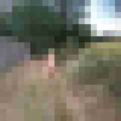 Letsy4u2c