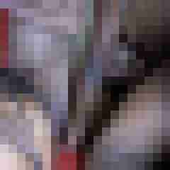 picturefreak