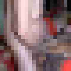 picturefreak
