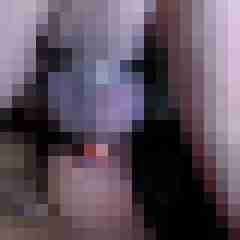picturefreak