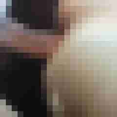 amsel27