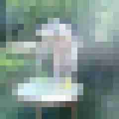 Letsy4u2c