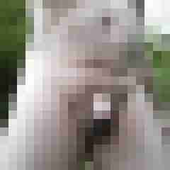 exib1