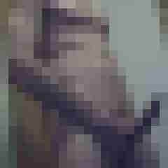 Sexboy29