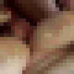 picturefreak