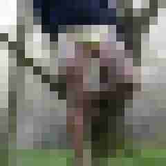 doline