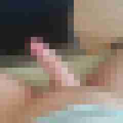 patte83