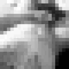 linni36