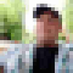 bugs84