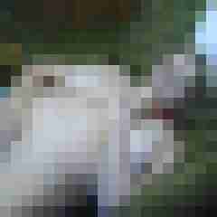 Letsy4u2c