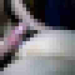 picturefreak