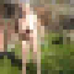Letsy4u2c