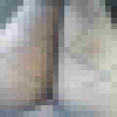 truckinnylons