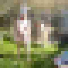 Letsy4u2c