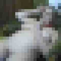 Letsy4u2c
