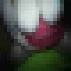 Mistbiene