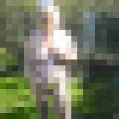 Letsy4u2c