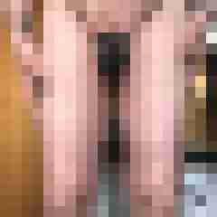 lippke