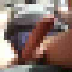 hornyxsar