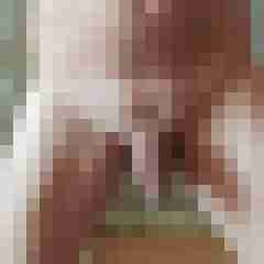 Robertbi