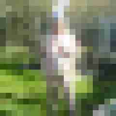 Letsy4u2c
