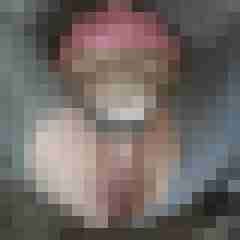 stutenlover