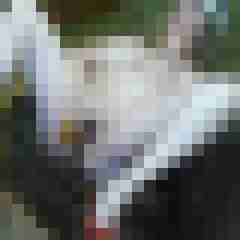 Letsy4u2c