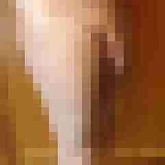 Willi007