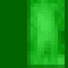 androphilos