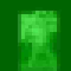 androphilos