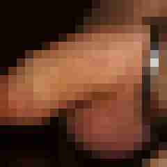 robertbilive
