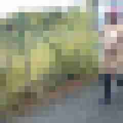 Letsy4u2c