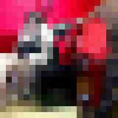 picturefreak