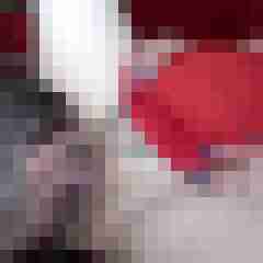 picturefreak