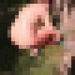 sexyehepaar