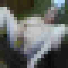 Letsy4u2c