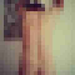 Anonym-DWT
