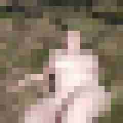 Bienenbaer_7464