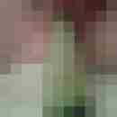 Schwabe1