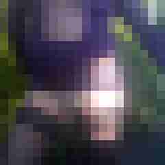 truckinnylons