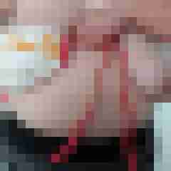 dresdenpaar1