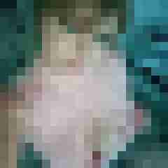 Harley_24