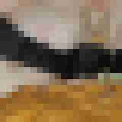 silberbody
