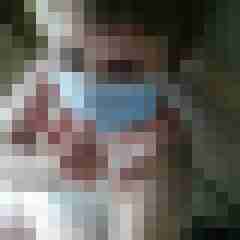 Mistbiene