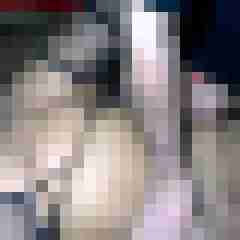 picturefreak
