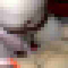 picturefreak