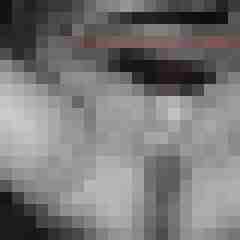 youfortwo