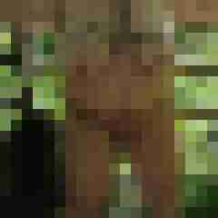 SweetAndDate