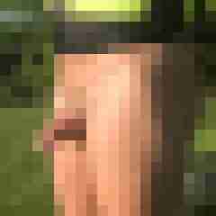 pitu21