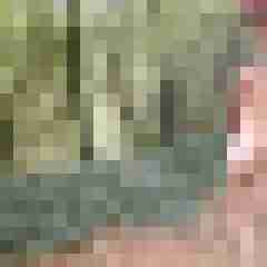 Letsy4u2c